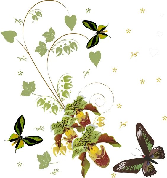 Green orchids and three butterflies — Stock Vector