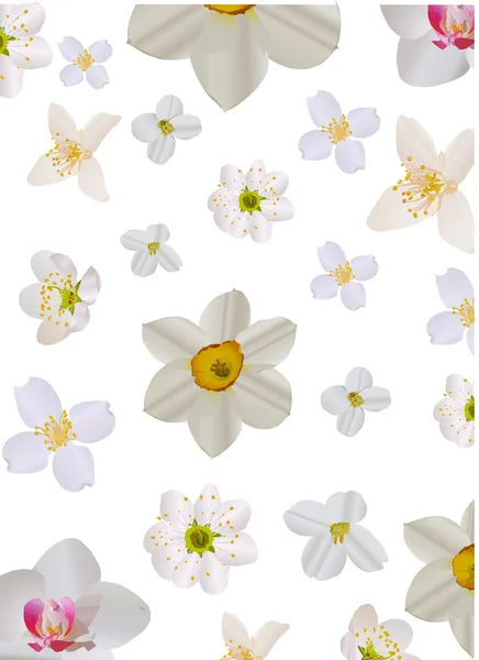 Ljus blommor bakgrund illustration — Stock vektor