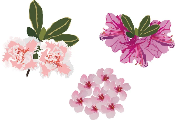 Pink flowers small collection — Stock Vector