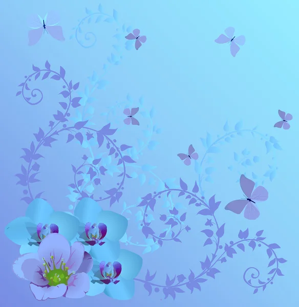 Blue orchids and butterflies — Stock Vector
