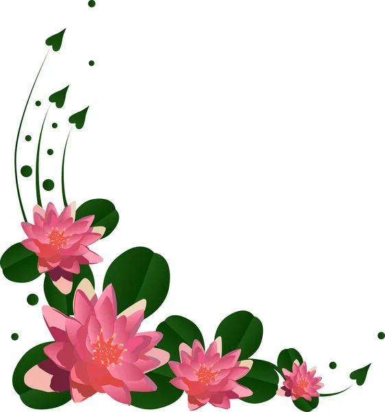 Flores de lirio rosa con hojas verdes — Vector de stock