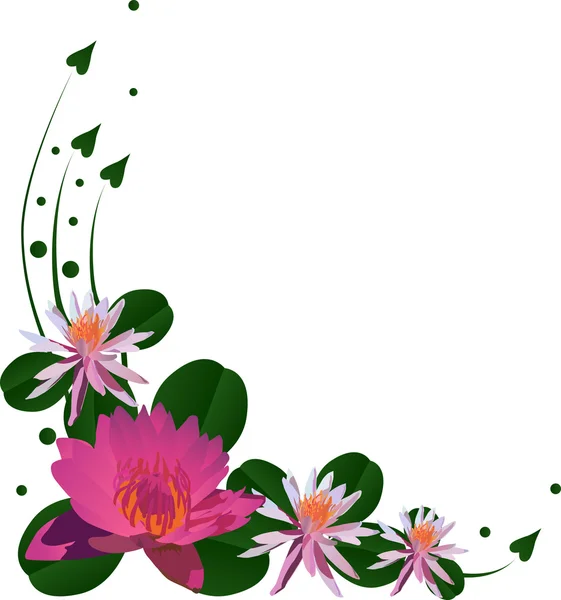 4 つのピンクの蓮の花を持つカールします。 — ストックベクタ