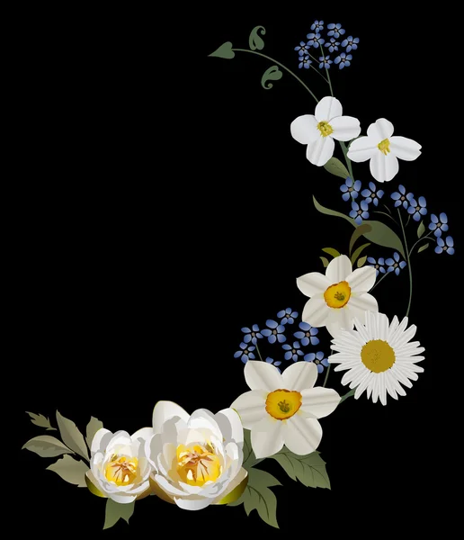 Lilie und Kamille locken auf schwarz — Stockvektor