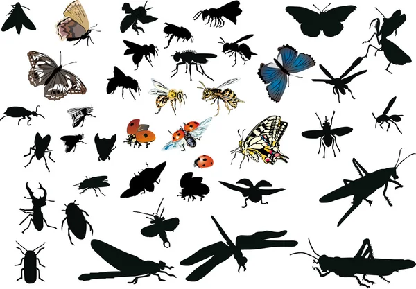 Sada izolované létajícího hmyzu — Stockový vektor