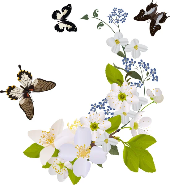 Beyaz çiçek dalları ile üç kelebekler — Stok Vektör