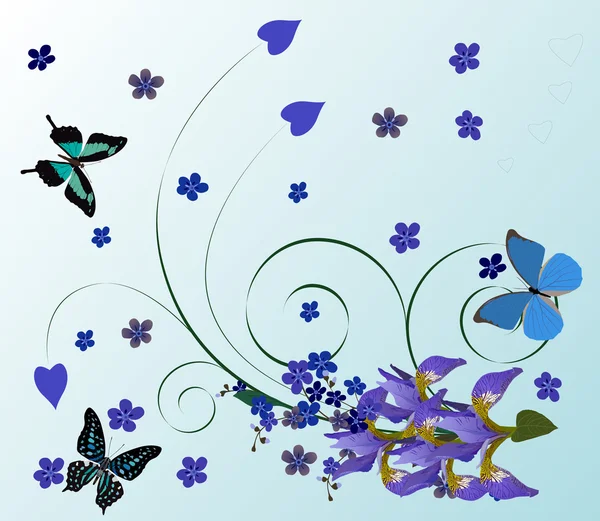 Blue butterflies and iris illustration — Stock Vector