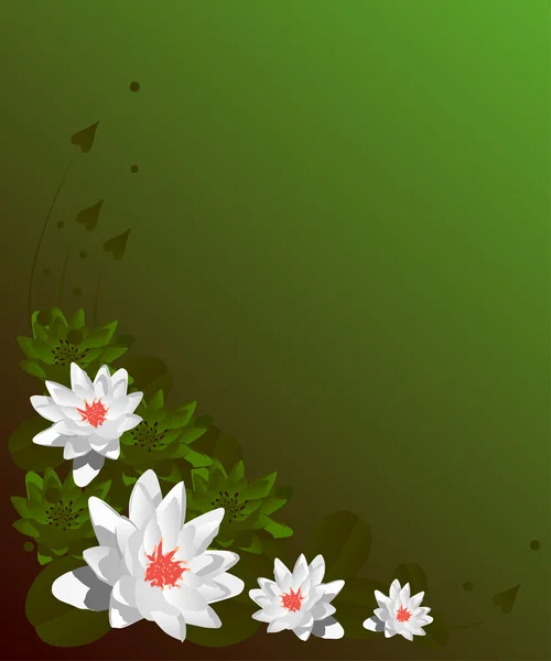 Дизайн лилии на зеленом фоне — стоковый вектор