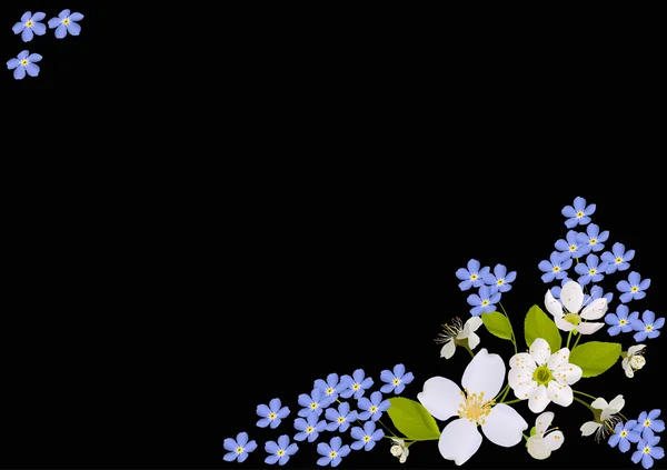 Decoración floral blanca y azul sobre negro — Vector de stock