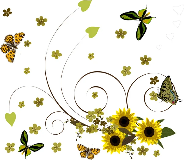 Farfalle sopra girasoli giallo ricciolo — Vettoriale Stock