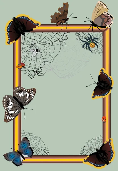 Πεταλούδες, πλαίσιο και spider web — Διανυσματικό Αρχείο