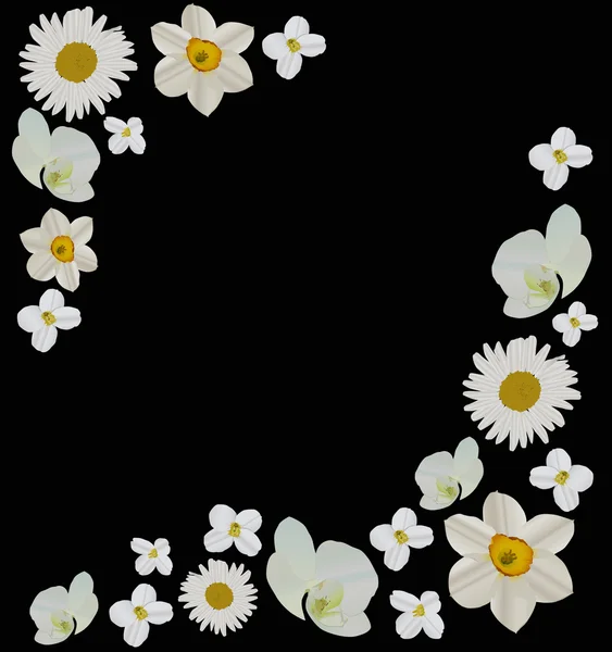 Fehér virág keret fekete — Stock Vector
