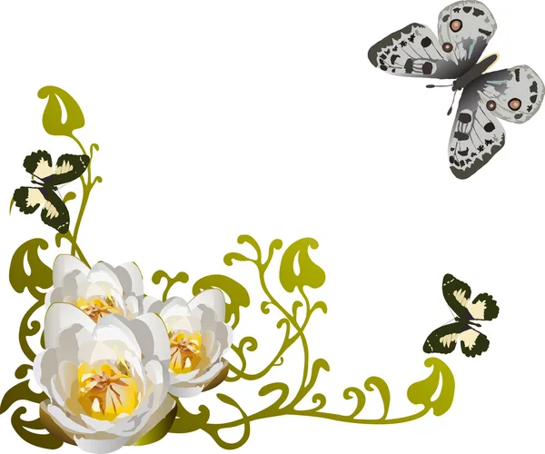 Λευκό Κρινάκι γωνία και πεταλούδες — Διανυσματικό Αρχείο