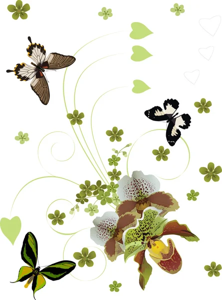 3 つの蘭の花と蝶 — ストックベクタ