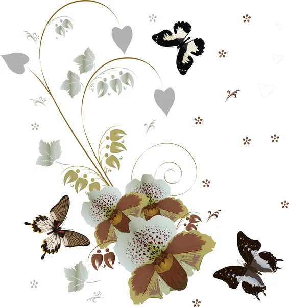 Butterflies above white and brown orchids — Stock Vector