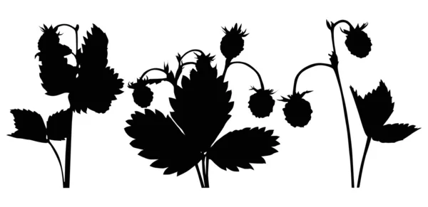 Ensemble de silhouettes de fraises sauvages — Image vectorielle