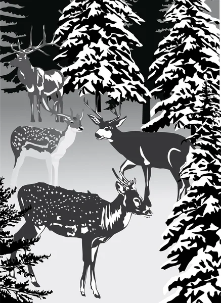 Cuatro ciervos en el bosque — Vector de stock