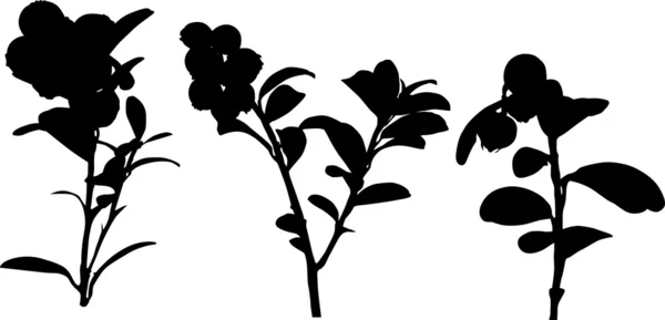 Ensemble de silhouettes de cowberry — Image vectorielle