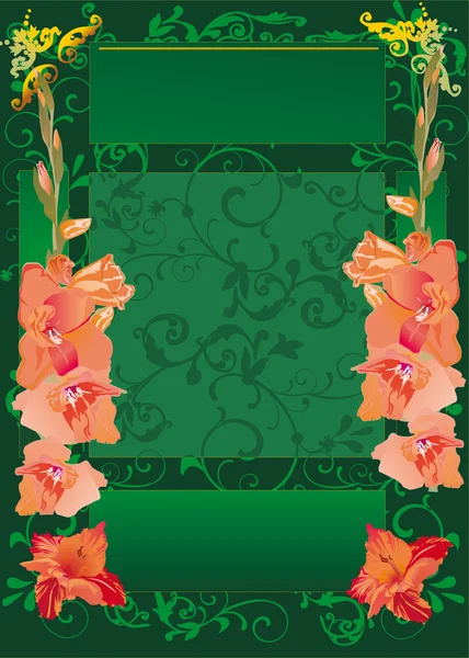 Cadre vert avec des fleurs de gladiole rouge — Image vectorielle