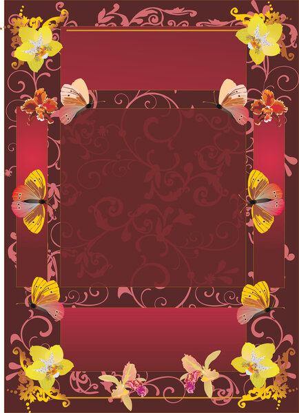 frame with orchids and butterflies