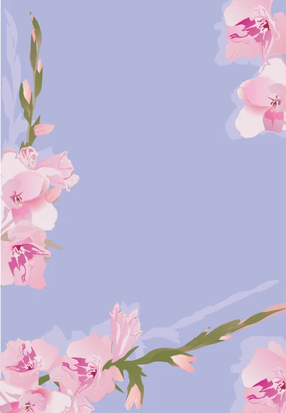粉红色唐菖蒲鲜花装饰 — 图库矢量图片