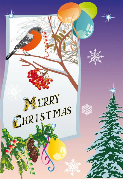 雪花和布尔芬奇和圣诞节图 — 图库矢量图片