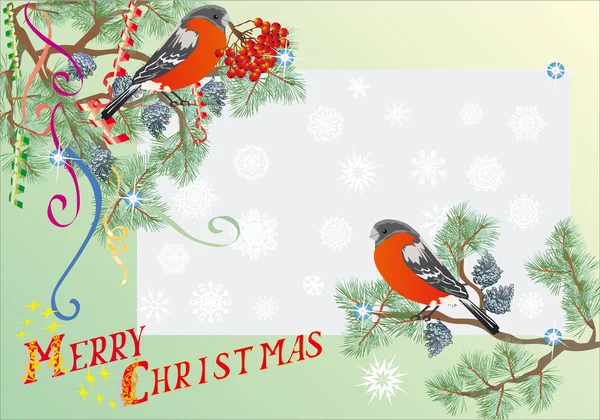 Bullfinch und fir branches ilustração de Natal —  Vetores de Stock