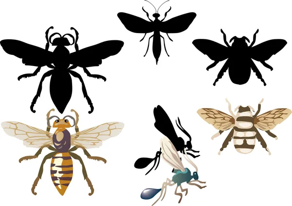 Insectes hyménoptères sur noir — Image vectorielle