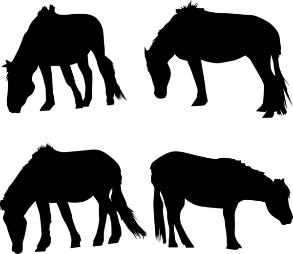Set of four horses — Stock Vector