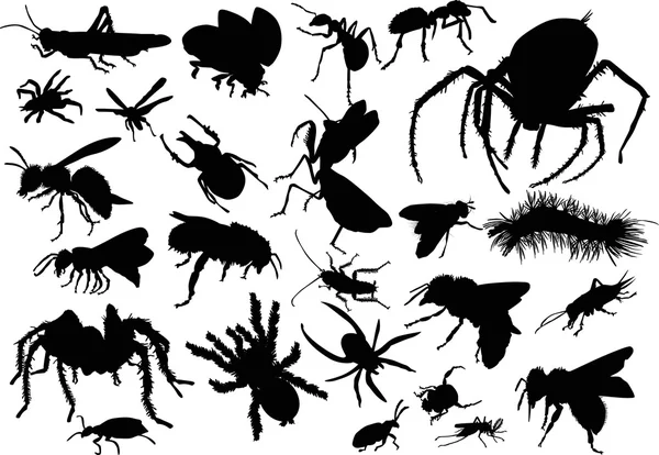Vinte e cinco silhuetas de insetos — Vetor de Stock
