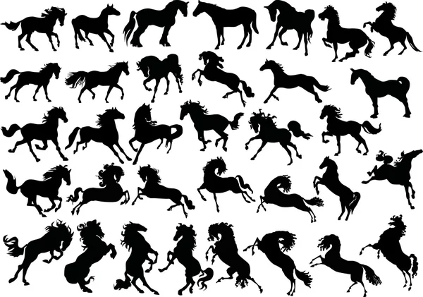 Vierunddreißig Pferdesilhouetten — Stockvektor