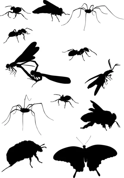 黒のさまざまな昆虫のセット — ストックベクタ