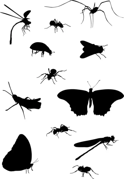 Colección de doce insectos — Vector de stock