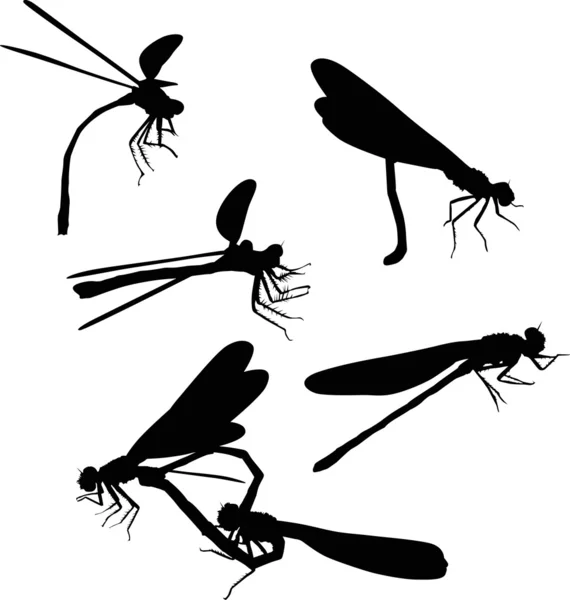 Six dragonfly silhouettes — Stock Vector