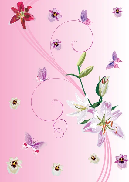 ピンクのユリ、蘭の花と蝶 — ストックベクタ