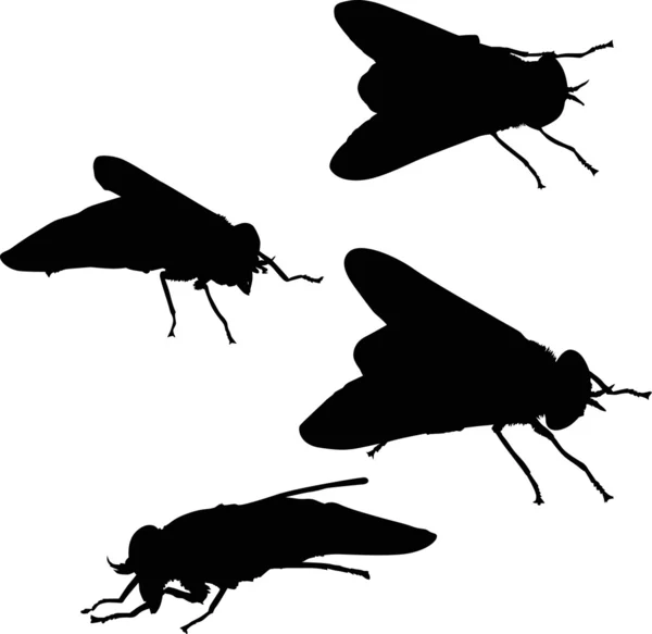 Four fly silhouettes isolated on white — Stock Vector