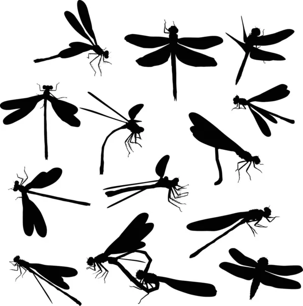 Fourteen dragonfly silhouettes — Stock Vector