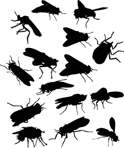 Quince siluetas de mosca — Vector de stock