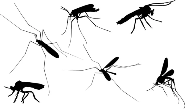Six mosquito silhouettes on white — Stock Vector