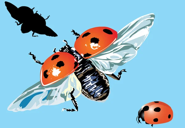Mavi zemin üzerinde üç ladybirds — Stok Vektör