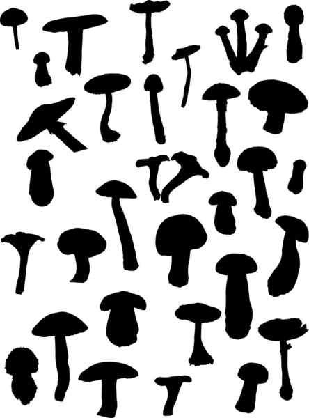 Conjunto de silhuetas de fungos — Vetor de Stock