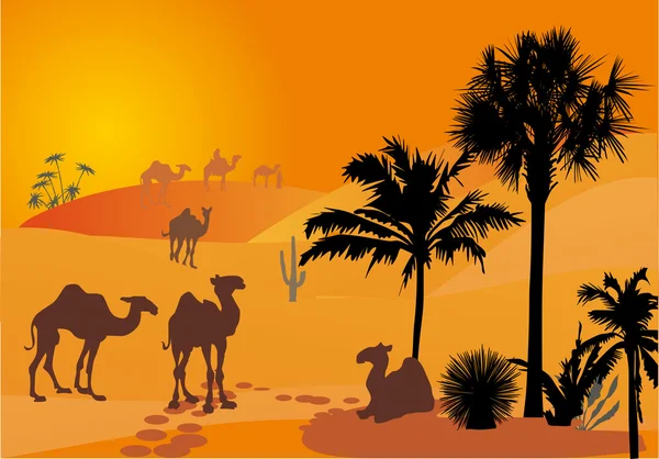 stock vector orange illustration with camels