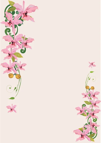 Luz rosa orquídeas decoración — Vector de stock