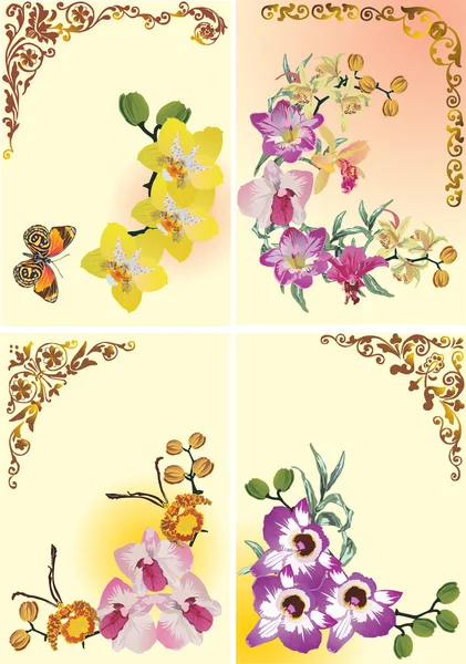 Conjunto de cuatro ramas de orquídea — Archivo Imágenes Vectoriales