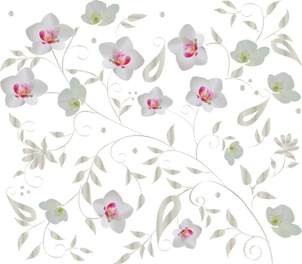 Květinové pozadí s bílými orchidejemi — Stockový vektor