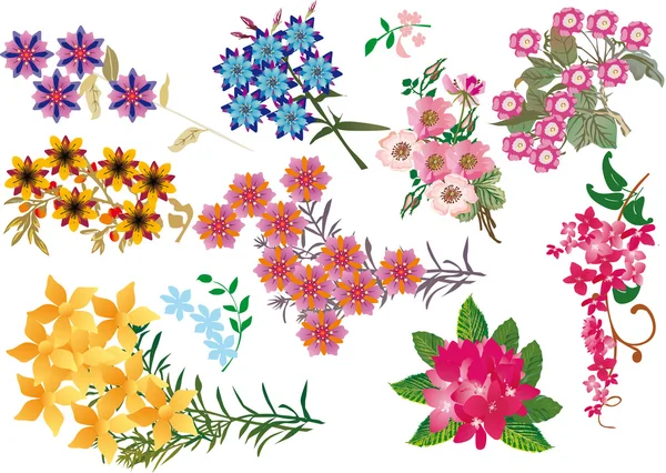 Ljusa färg blommor samling — Stock vektor