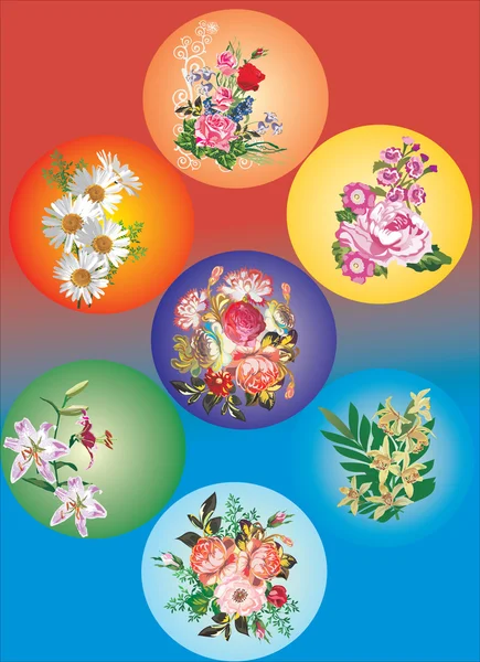 Sieben Blütenkompositionen — Stockvektor