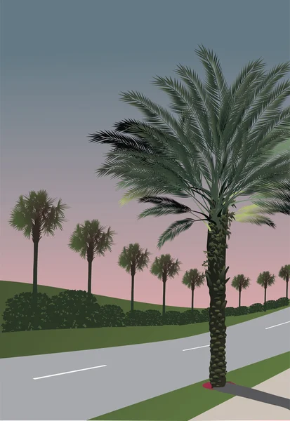 stock vector green palm trees and road at sunset