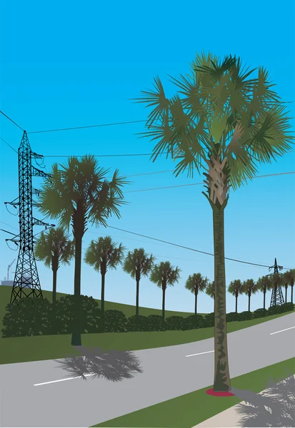 Groene palmbomen en weg illustratie — Stockvector