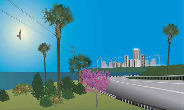Route près des palmiers et de la mer — Image vectorielle