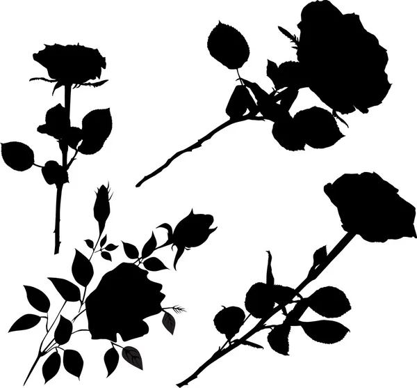 Collection de fleurs roses noires — Image vectorielle